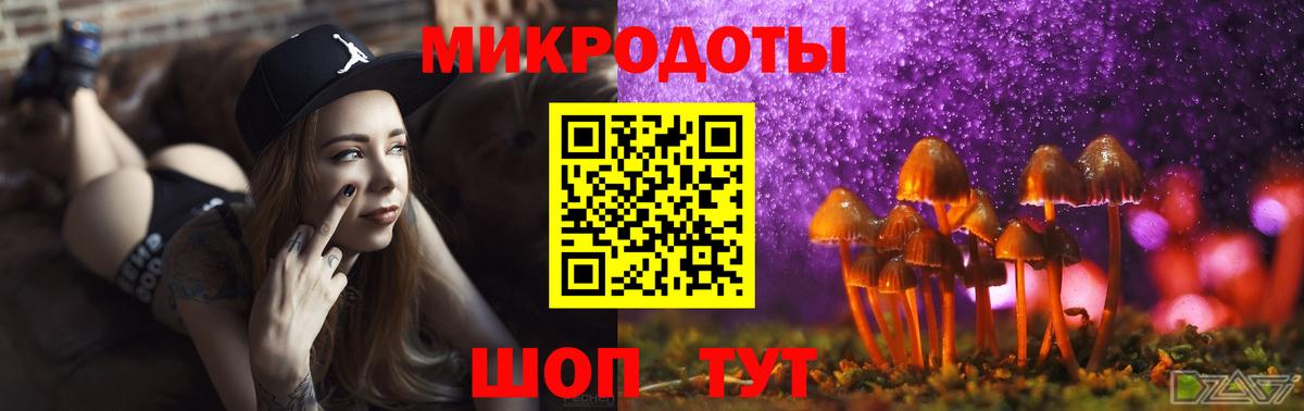 Псилоцибиновые грибы Psilocybine cubensis  купить наркотик  Дербент  Вход с VPN  Псилоцибиновые грибы Psilocybe 