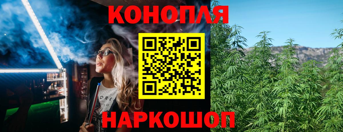 Бошки марихуана конопля  Вход с VPN  Марихуана марихуана  Дербент  Каннабис индика 